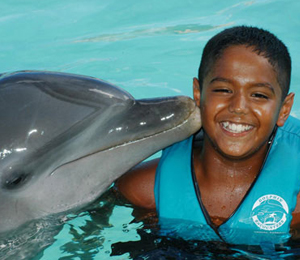 Dolphin Tours in the Bahamas